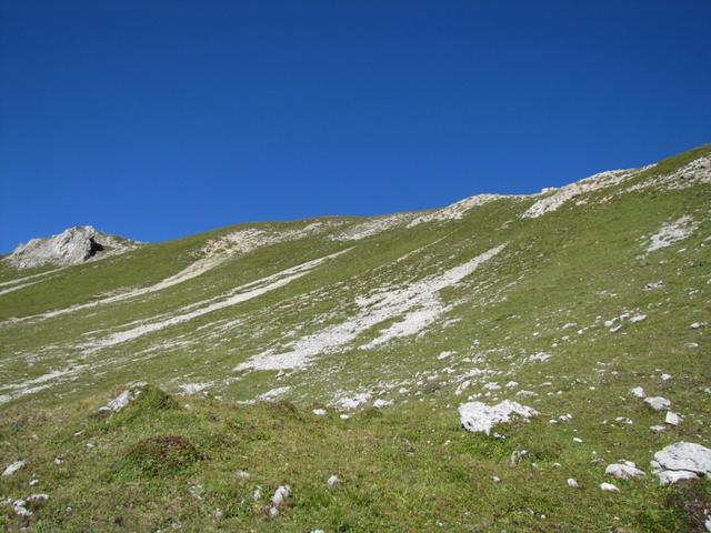 kurz nach dem kleinen Seelein, verlässt man den Wanderweg und biegt rechts ab