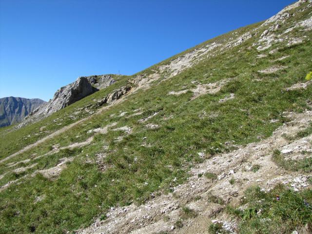 weglos wanderten wir den steilen Hang des Schiesshorn hinauf