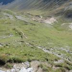 der Abstieg zur Schiesshorn Furgga ist ein markierter Wanderweg