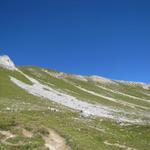 Blick hinauf zum Schiesshorn