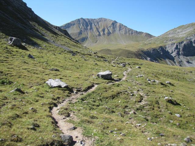 kurze Zeit später haben wir den Wanderweg wieder erreicht, der vom Alteinsee kommt