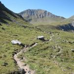 kurze Zeit später haben wir den Wanderweg wieder erreicht, der vom Alteinsee kommt