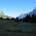 kurz vor dem Hotel, Blick über Kandersteg hinaus zum Sattelhore und Giesigrat. Dort oben waren wir auch schon