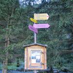 beim Waldhotel Doldenhorn biegt der Wanderweg rechts ab und in den Wald