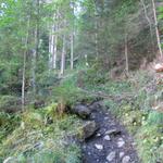 bei Punkt 1366 m.ü.M.