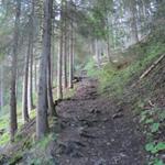 weiter durch den Wald bei Dürreschwand geht es Richtung Punkt 1435 m.ü.M.