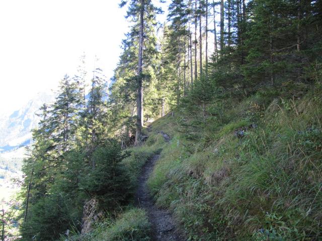 unser Weg führt uns weiter alles durch den Wald Richtung Punkt 1522 m.ü.M.