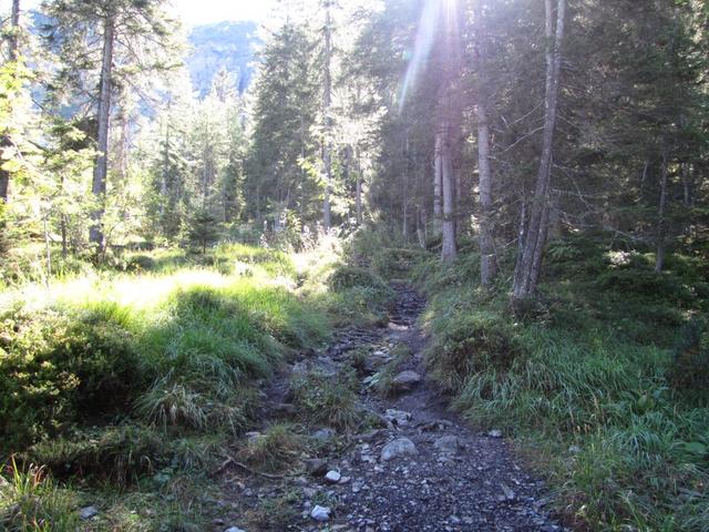 der Weg ist nun wieder steil und führt weiter alles durch den Wald