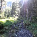 der Weg ist nun wieder steil und führt weiter alles durch den Wald