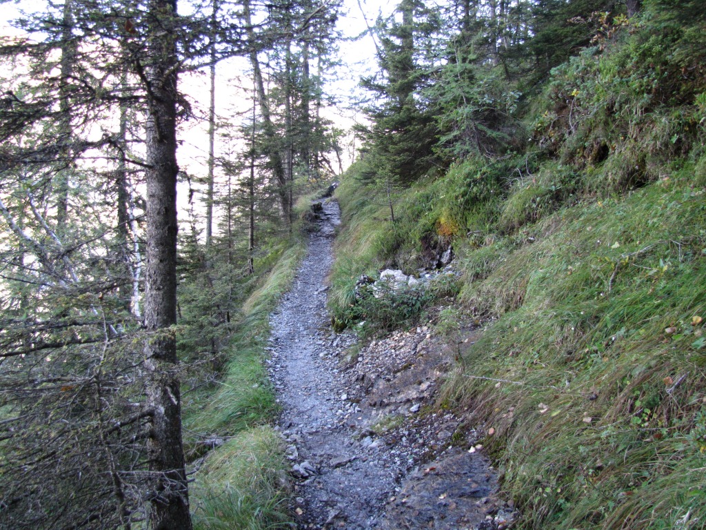steil windet sich der Bergpfad nun weiter aufwärts und überwindet eine Steilstufe