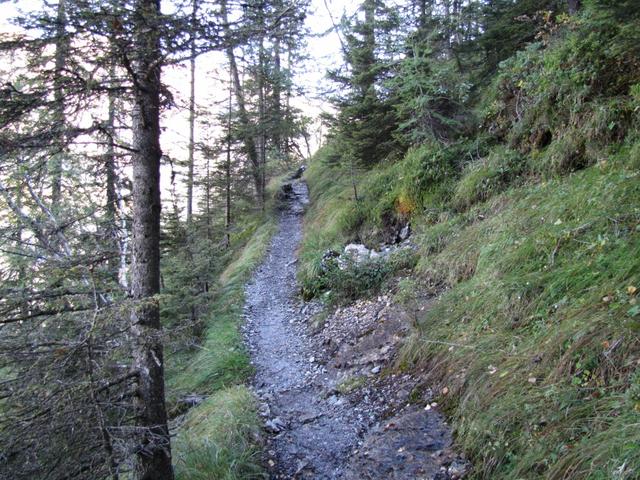 steil windet sich der Bergpfad nun weiter aufwärts und überwindet eine Steilstufe