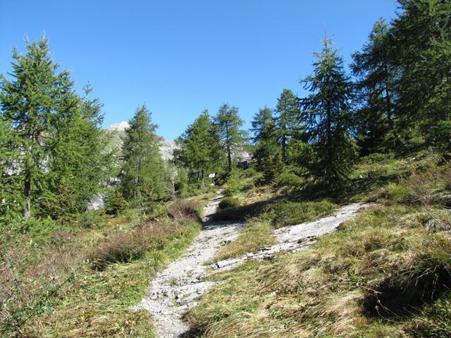 noch ein paar Schritte und wir haben die Doldenhornhütte erreicht