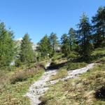 noch ein paar Schritte und wir haben die Doldenhornhütte erreicht