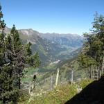 von der Hütte aus, hat man einen schönen Ausblick auf das ganze Kandertal