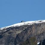 Blick zur Blüemlisalphütte. Dort waren wir auch schon