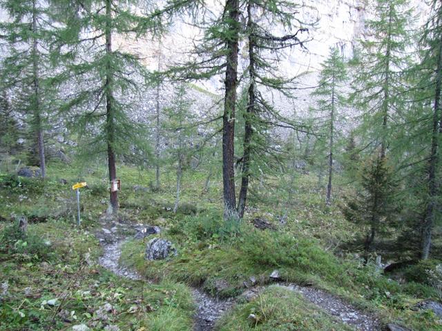 wieder bei Punkt 1818 m.ü.M. angekommen, geht es weiter abwärts