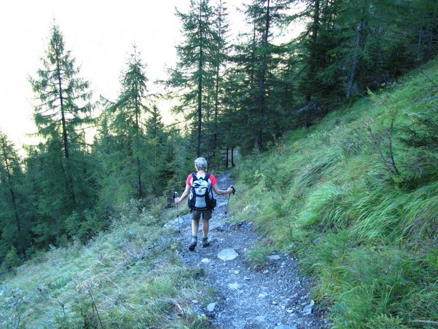 kurz vor Punkt 1608 m.ü.M. im Bibergwald