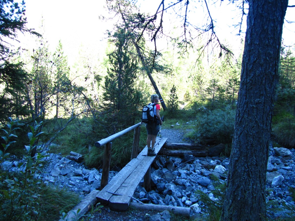 beim "Undere Bibergwald"