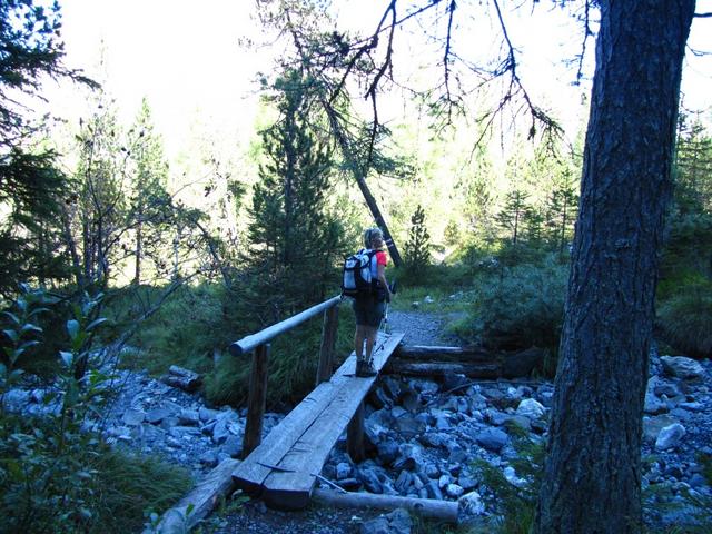 beim "Undere Bibergwald"