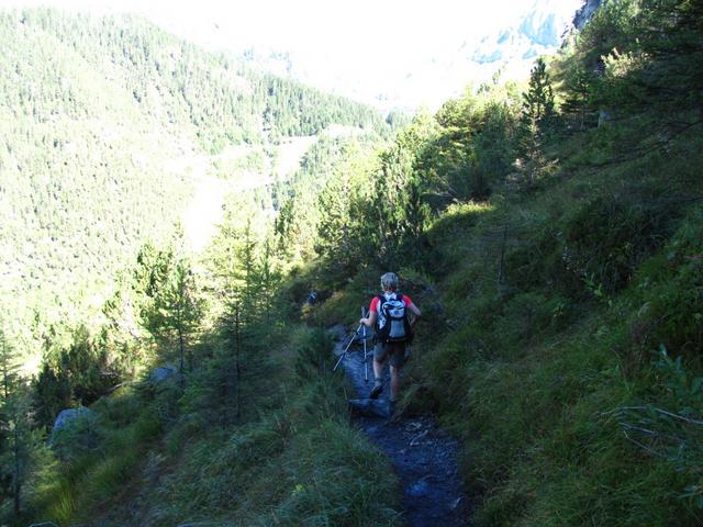 auf dem Weg zum Bärentritt und in den Oeschiwald