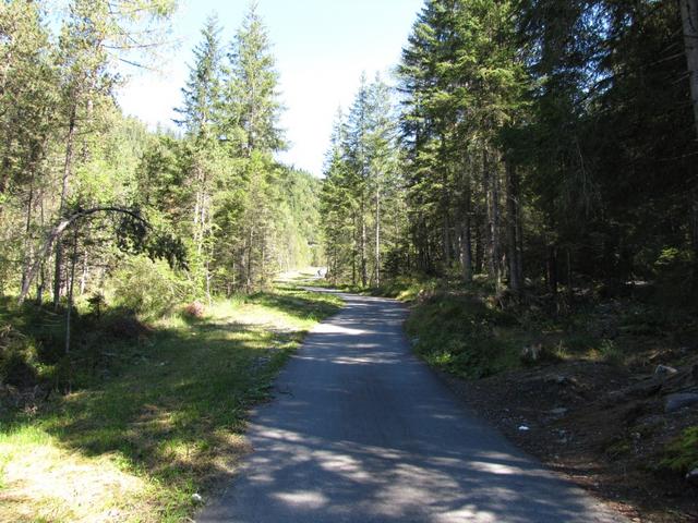 auf der Teerstrasse Richtung Oeschinensee