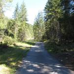 auf der Teerstrasse Richtung Oeschinensee