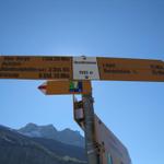 Wegweiser beim Oeschinensee 1593 m.ü.M.