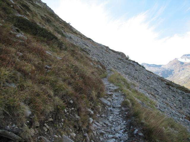 der Wanderweg verlässt nun den Seeuferweg und führt aufwärts ins Ofental