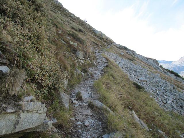 man könnte auch am Seeuferweg weiterwandern. Wählt man aber diesen Weg, ist die Aussicht umso schöner