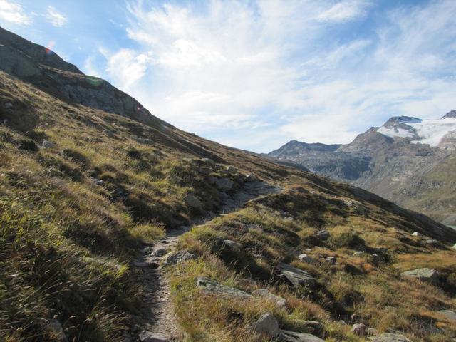 alles am einfachen Wanderweg entlang, geht es tiefer in das Ofental hinein