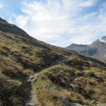 alles am einfachen Wanderweg entlang, geht es tiefer in das Ofental hinein