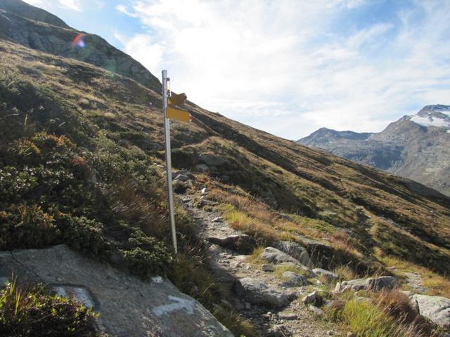 wir haben die Wegkreuzung bei Punkt 2330 m.ü.M. erreicht