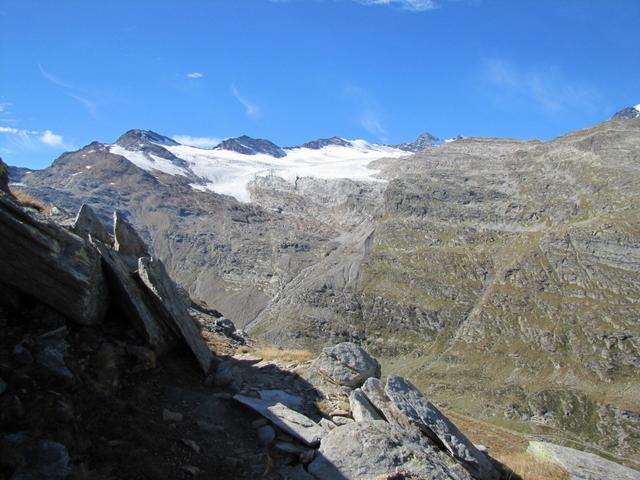 Blick zum Monte Moro, Seewjinenhorn und Seewjinengletscher mit Schwarzberghorn