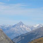 Blick auf das Bietschhorn und Nesthorn