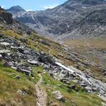 kurz vor dem überqueren vom Stafelbach