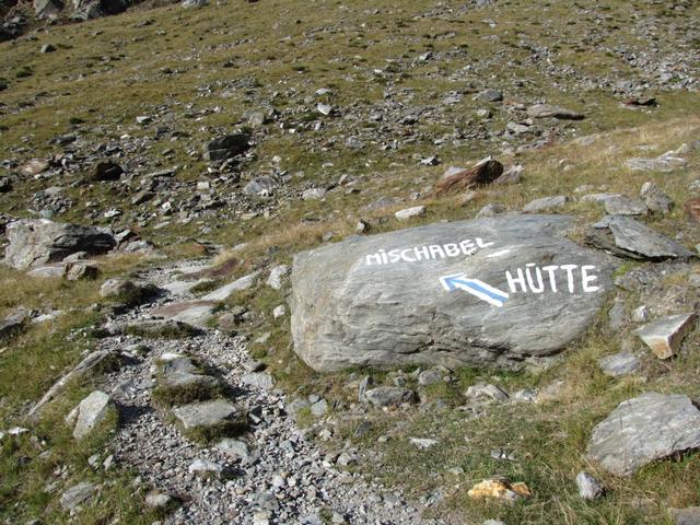 hier ist der Weg wieder weiss-blau-weiss markiert, was richtig ist