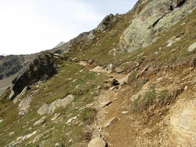 der neue Weg wurde auf dem West-Ost verlaufendem Felsgrat vom Distelhorn verlegt