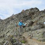 Dom, Lenzspitze, Mischabelhütte und Mäusi