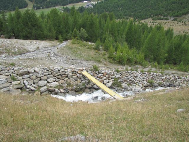 bei Punkt 1923 m.ü.M. überqueren wir den wilden Triftbach und wandern durch einen bis zu 700 Jahre alten Lärchenwald