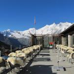 die schöne Aussichtsterrasse beim Kreuzboden