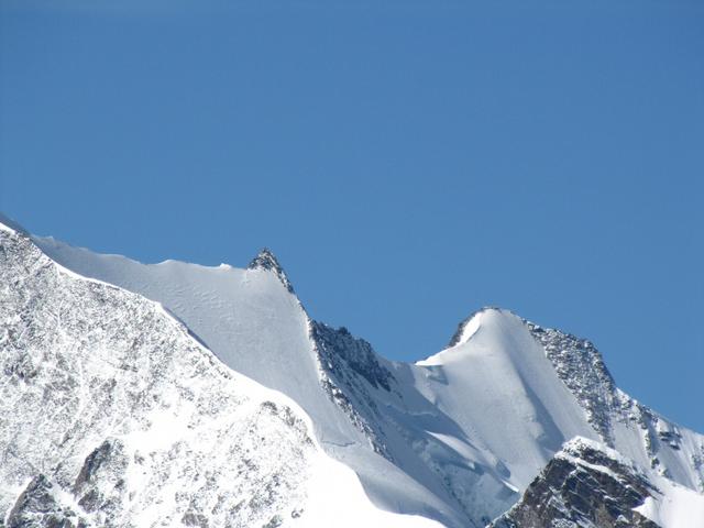 Stecknadelhorn 4241 m und Hohberrghorn 4219