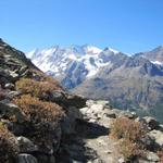 was für eine Aussicht wärend dem Wandern. Wir haben die ganze Mischabelgruppe vor unseren Augen