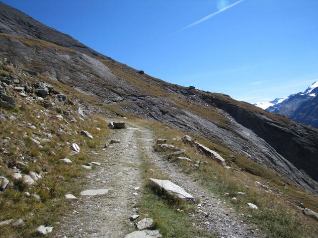 der Wanderweg-Höhenweg durchquert nun die Alp Hehbord