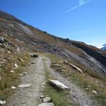 der Wanderweg-Höhenweg durchquert nun die Alp Hehbord