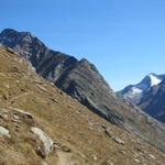 oberhalb der Weissflueh führt uns der Bergpfad weiter Richtung Almagelleralp