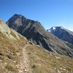 hier biegt nun der Weg links in das Almagellertal hinein. Kurz vor Punkt 2394 m.ü.M.