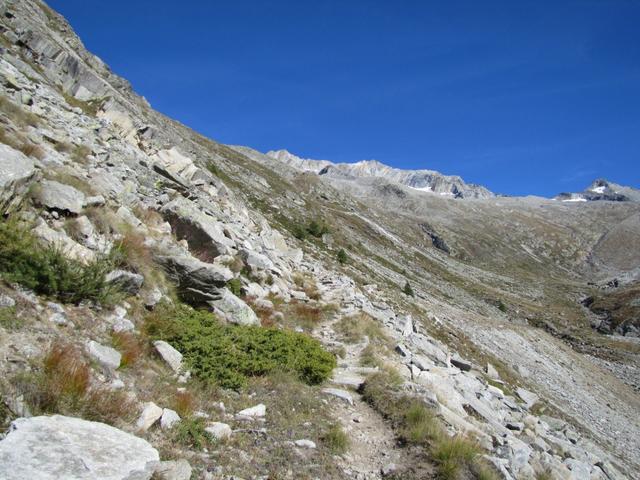 es fehlen noch 700 Höhenmeter bis zur Almagellerhütte