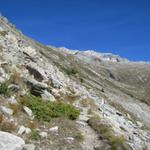 es fehlen noch 700 Höhenmeter bis zur Almagellerhütte