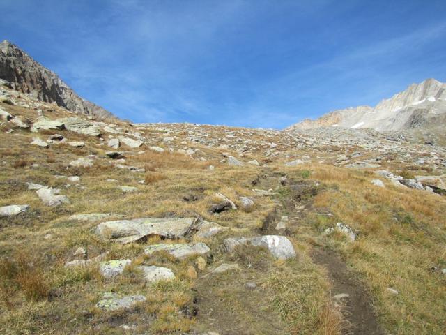 zwei Wege führen von der Almagelleralp zur Almagellerhütte. Wir haben den linken Weg unter die Füsse genommen