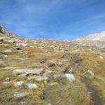 zwei Wege führen von der Almagelleralp zur Almagellerhütte. Wir haben den linken Weg unter die Füsse genommen